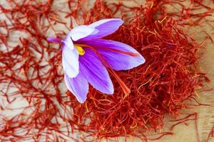 medical benefits of saffron